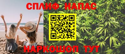 шишки Чебаркуль